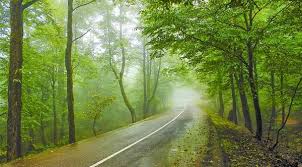 آب معدنی سیوا